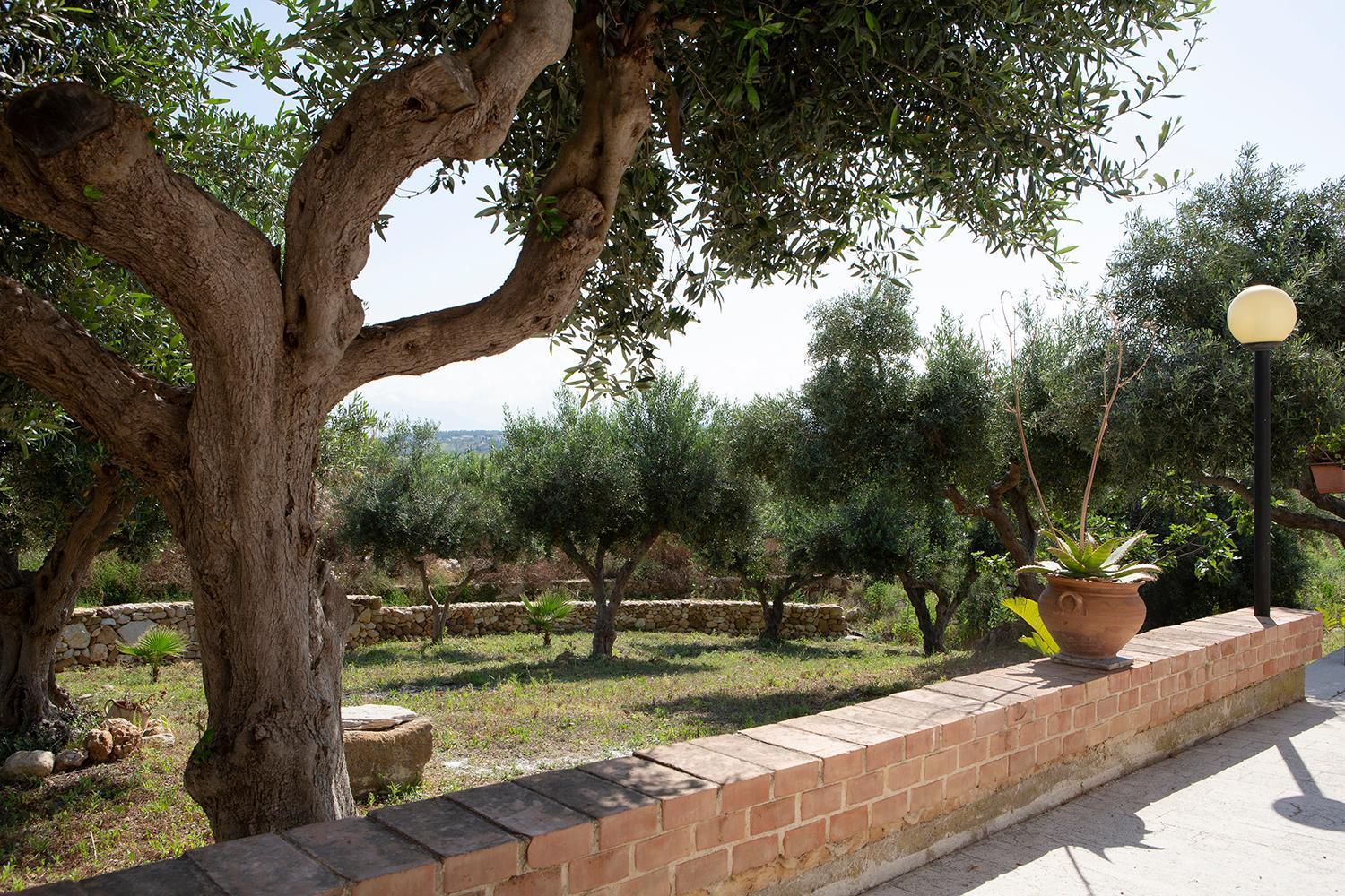 Villa Alessandro Castellammare del Golfo Eksteriør billede