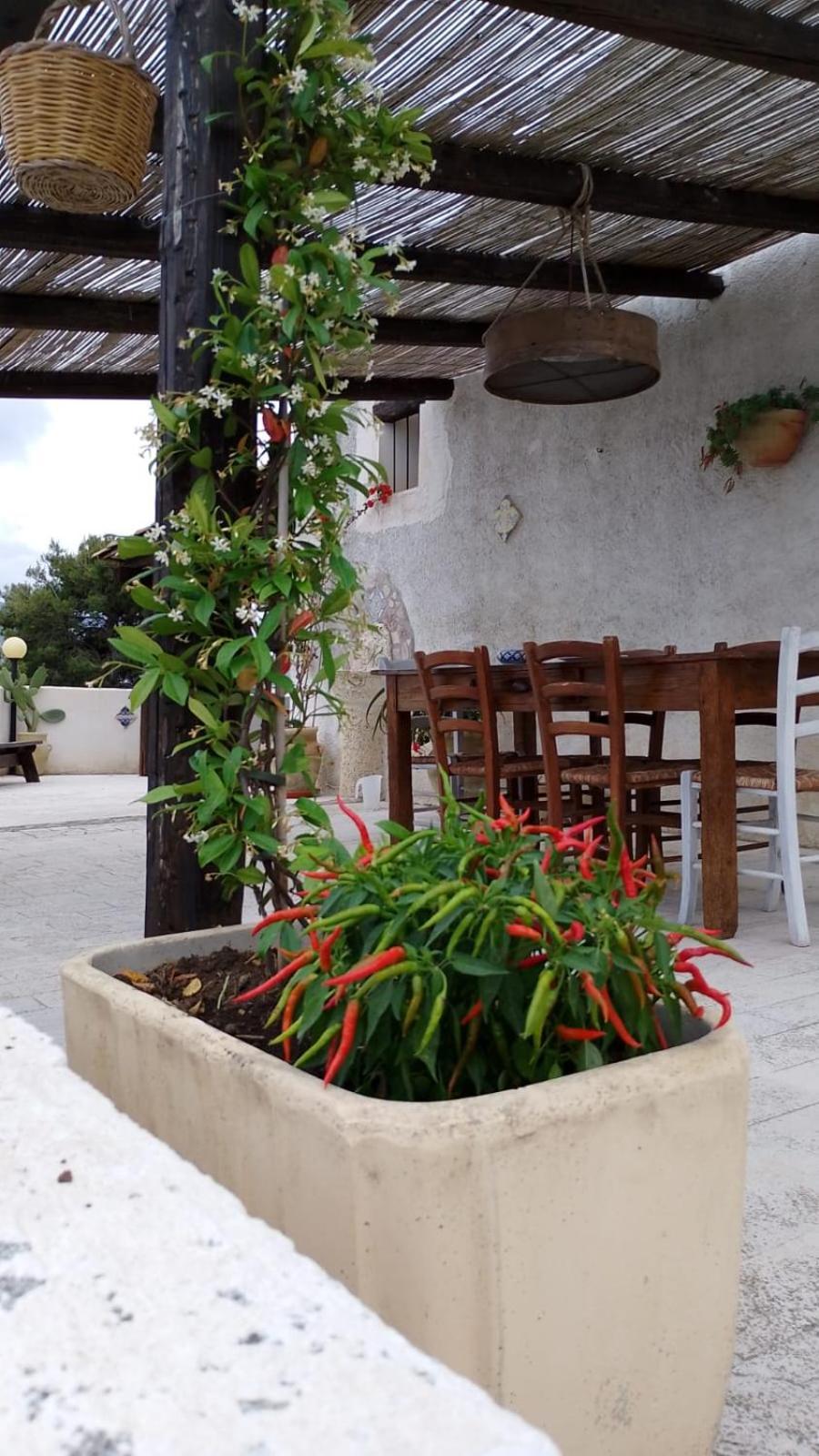 Villa Alessandro Castellammare del Golfo Eksteriør billede